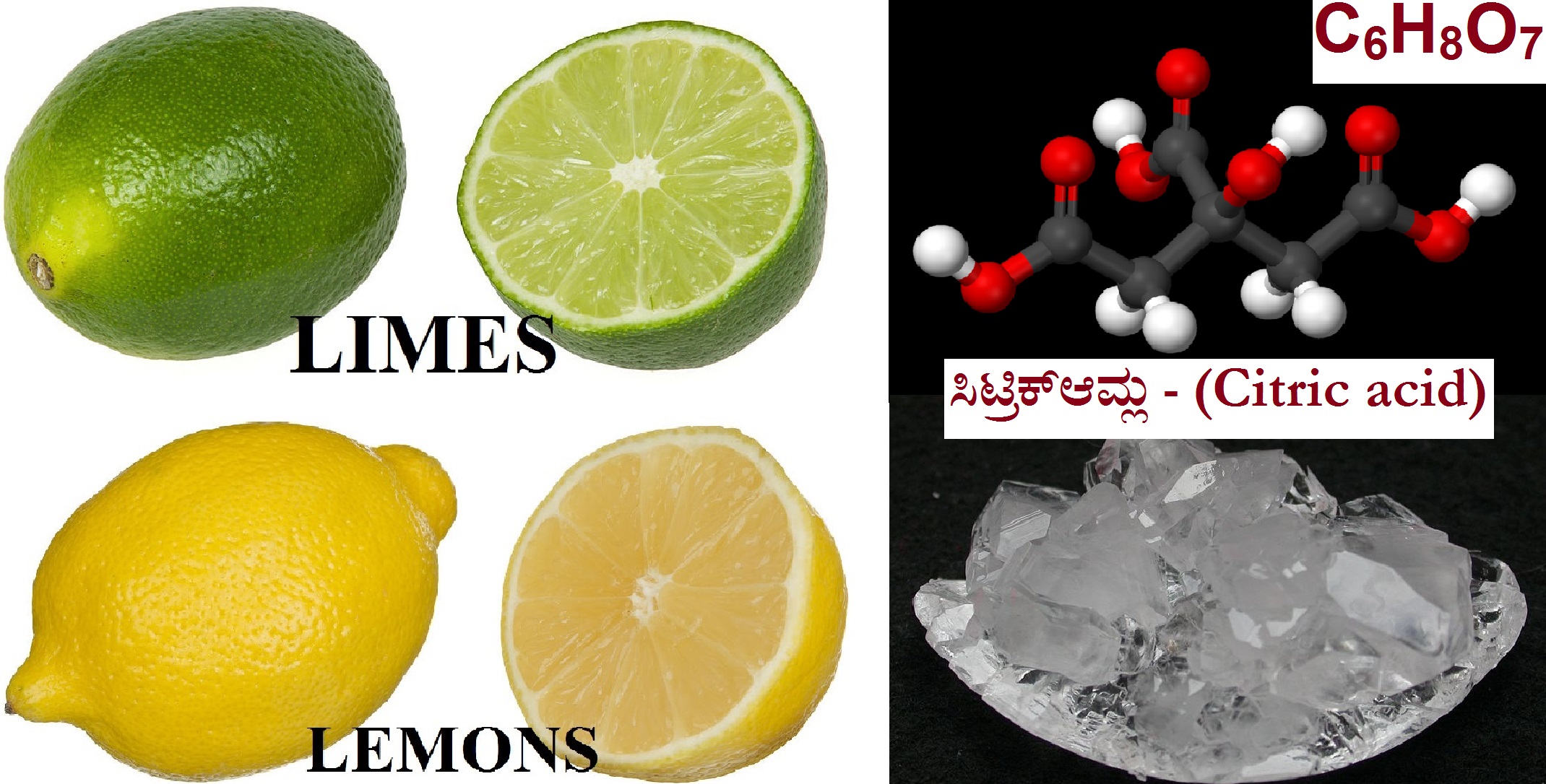 Read more about the article ಹುಳಿಯ ಜೊತೆಗೆ ಪರಿಮಳವನ್ನೂ ಬೆರೆಸುವ ನಿಂಬೆ : Citrus limon