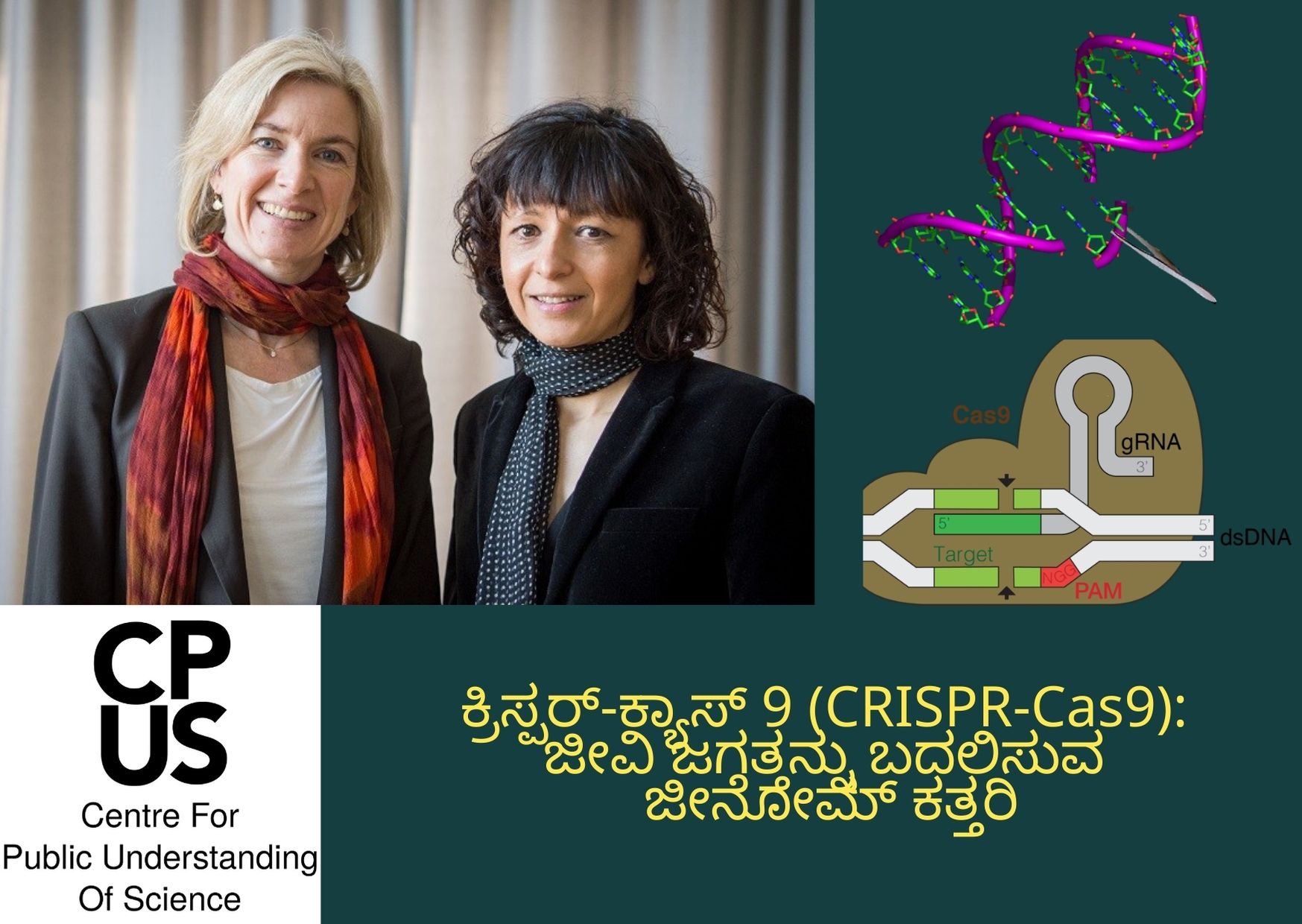 You are currently viewing ಕ್ರಿಸ್ಪರ್-ಕ್ಯಾಸ್ 9 (CRISPR-Cas9): ಜೀವಿ ಜಗತ್ತನ್ನು ಬದಲಿಸುವ ಜೀನೋಮ್ ಕತ್ತರಿ