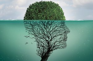 Read more about the article MINDING THE CLIMATE: How Neuroscience Can Help Solve Our Environmental Crisis.