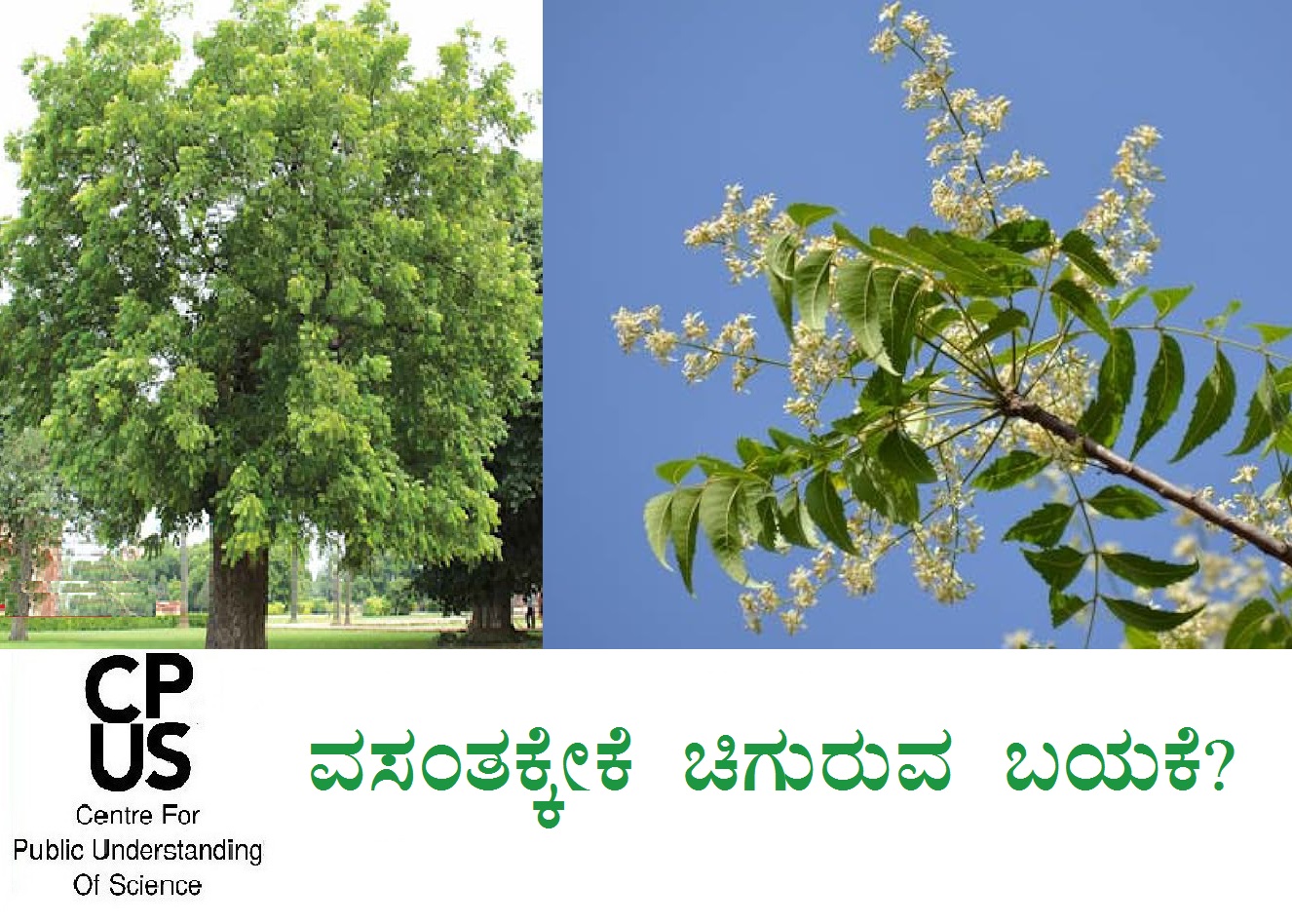 You are currently viewing ವಸಂತಕ್ಕೇಕೆ ಚಿಗುರುವ ಬಯಕೆ?