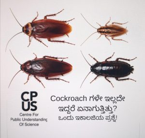 Read more about the article Cockroachಗಳೇ ಇಲ್ಲದೇ ಇದ್ದರೆ ಏನಾಗುತ್ತಿತ್ತು? ಇಕಾಲಜಿಯ ಒಂದು ಪ್ರಶ್ನೆ!