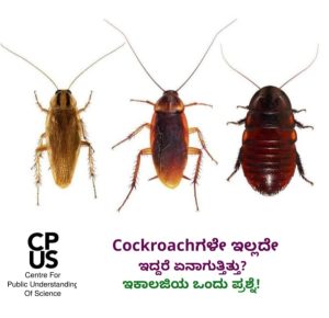 Read more about the article Cockroachಗಳೇ ಇಲ್ಲದೇ ಇದ್ದರೆ ಏನಾಗುತ್ತಿತ್ತು? ಇಕಾಲಜಿಯ ಒಂದು ಪ್ರಶ್ನೆ!